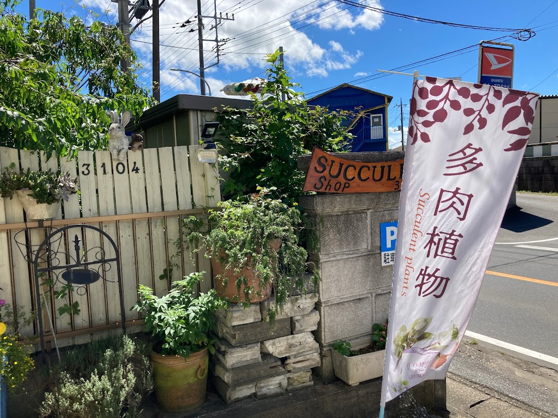 Succulent shop 3104(サキュレントショップサトシ) | 市原市の