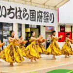 Ka Pā Hula O Kauanoe O Waʻahila-imgline_oa_chat_211203_114549